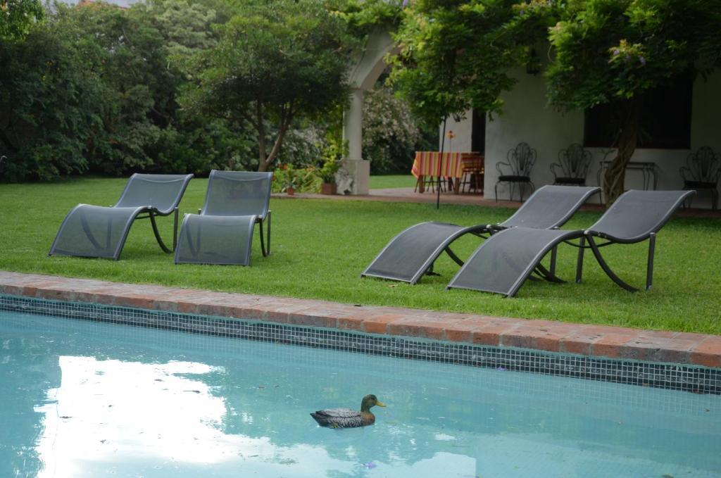 Susana Just Boutique Hotel Vicente Lopez Luaran gambar